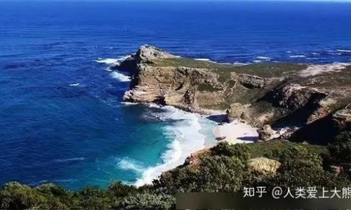 狗狗身上容易长什么虫图片-狗狗身上的真菌图片网- 狗狗身上真菌感染图片知识,分享狗狗身上真菌感染图片