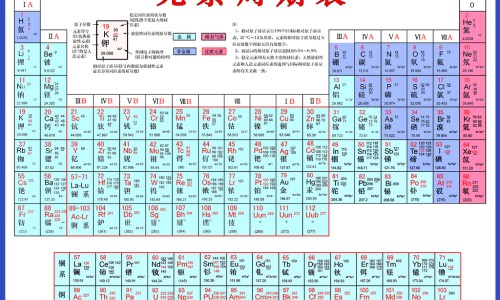 狗狗身上皮肤病图片-狗狗身上的真菌图片网- 狗狗身上真菌感染图片知识,分享狗狗身上真菌感染图片