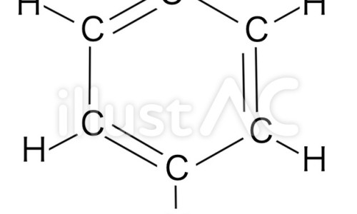 狗狗身上的真菌图片网- 狗狗身上真菌感染图片知识,分享狗狗身上真菌感染图片
